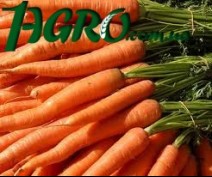 1agro.com.ua