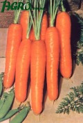 1agro.com.ua