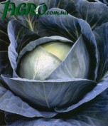 1agro.com.ua