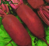 1agro.com.ua