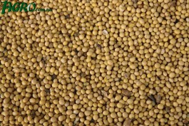 1agro.com.ua