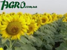 1agro.com.ua