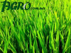 1agro.com.ua