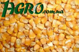 1agro.com.ua