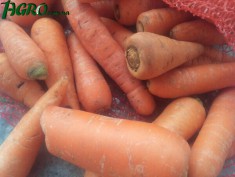 1agro.com.ua