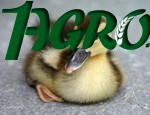 1agro.com.ua