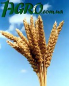 1agro.com.ua