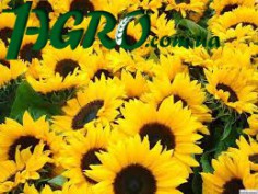 1agro.com.ua
