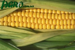 1agro.com.ua