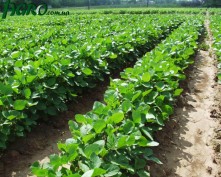 1agro.com.ua