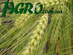 1agro.com.ua