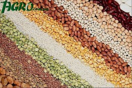 1agro.com.ua