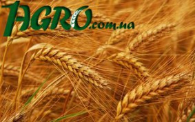 1agro.com.ua