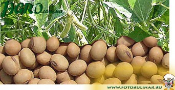 1agro.com.ua
