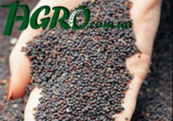 1agro.com.ua