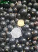 1agro.com.ua