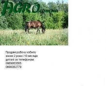 1agro.com.ua