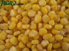 1agro.com.ua