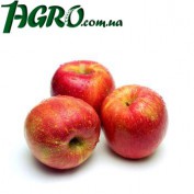 1agro.com.ua