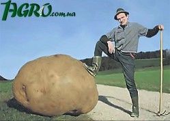 1agro.com.ua