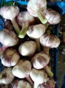 1agro.com.ua