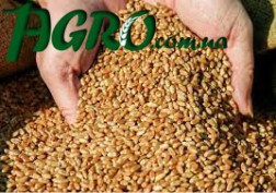 1agro.com.ua