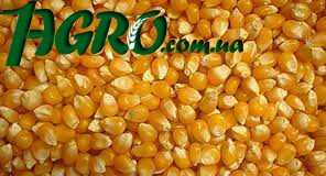 1agro.com.ua