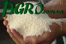 1agro.com.ua