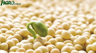 1agro.com.ua