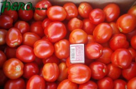 1agro.com.ua