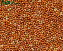 1agro.com.ua