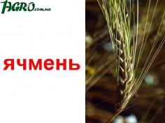 1agro.com.ua