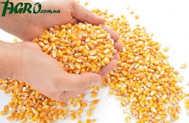 1agro.com.ua