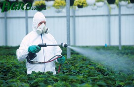 1agro.com.ua