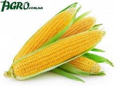 1agro.com.ua