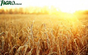 1agro.com.ua