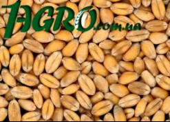 1agro.com.ua