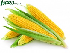 1agro.com.ua