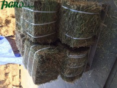 1agro.com.ua