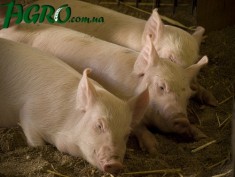1agro.com.ua