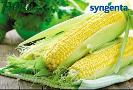 1agro.com.ua