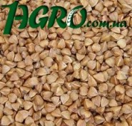 1agro.com.ua