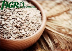1agro.com.ua