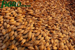 1agro.com.ua