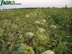 1agro.com.ua