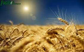 1agro.com.ua
