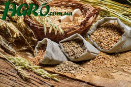 1agro.com.ua