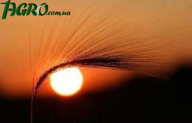 1agro.com.ua