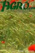 1agro.com.ua