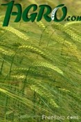 1agro.com.ua